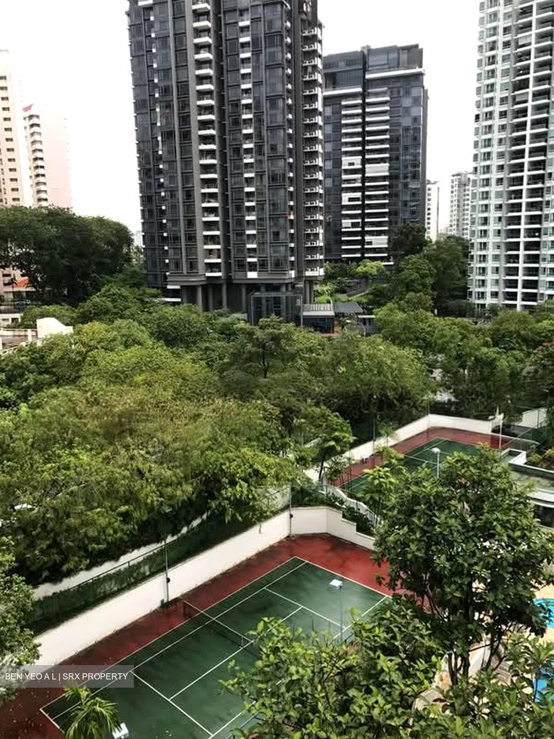 Astor Green (D21), Condominium #547226951